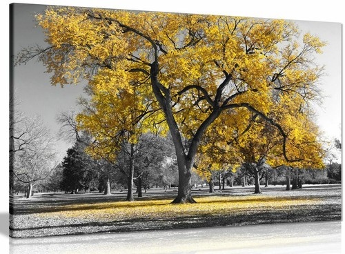 Large tree yellow leaves - yellow, black