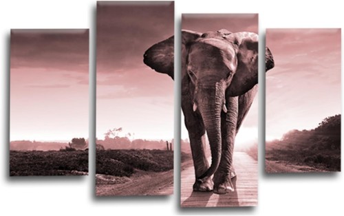 Elephant wall art - pink, living