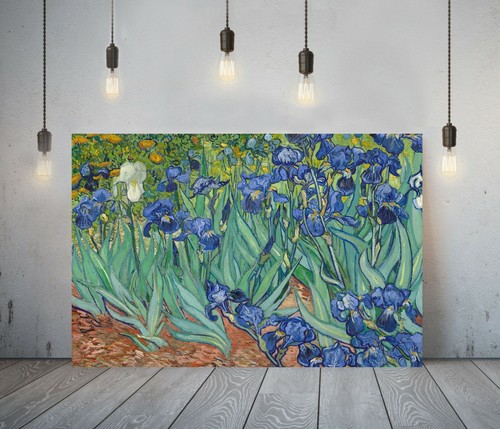 Van gogh irises framed canvas - van,