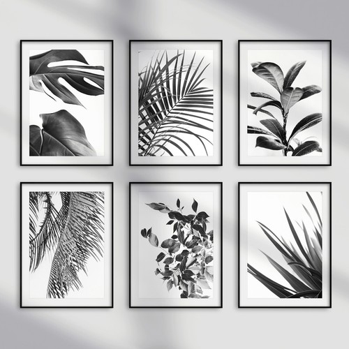 Black and white - and,