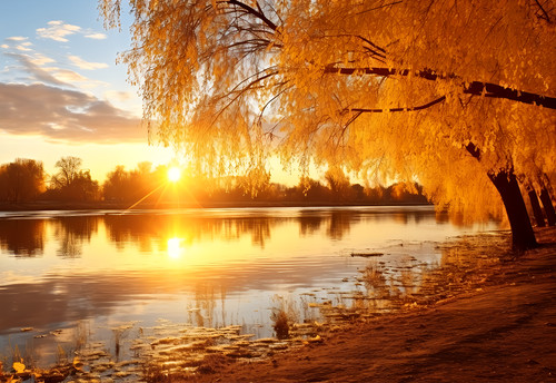 Autumn lake woodland forest - lake,