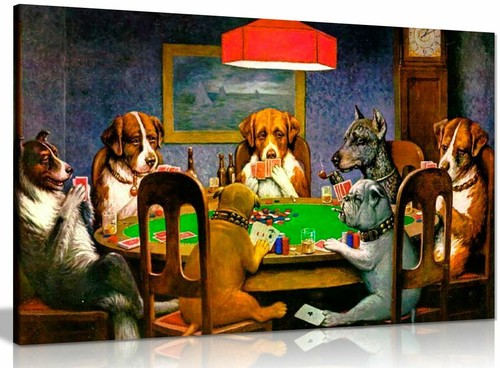 Pokers dogs playing - pokers, c