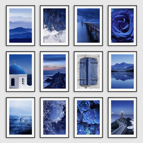 Navy blue botanical - blue, wall