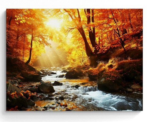 Autumn woodland forest - forest, canvas