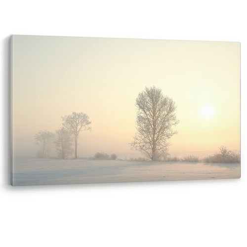 December morning frost fog - morning,