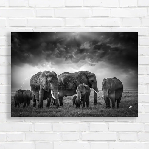 Majestic elephant herd black - majestic,