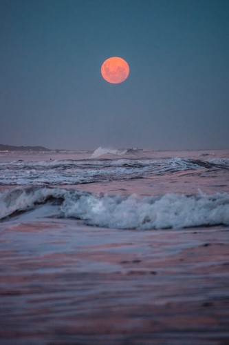 Sunset beach seascape - seascape, canvas