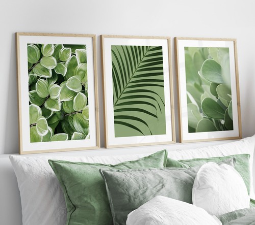 Set sage green - 3, botanical