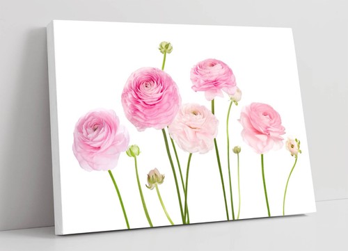 Light pink flowers watercolour - light,