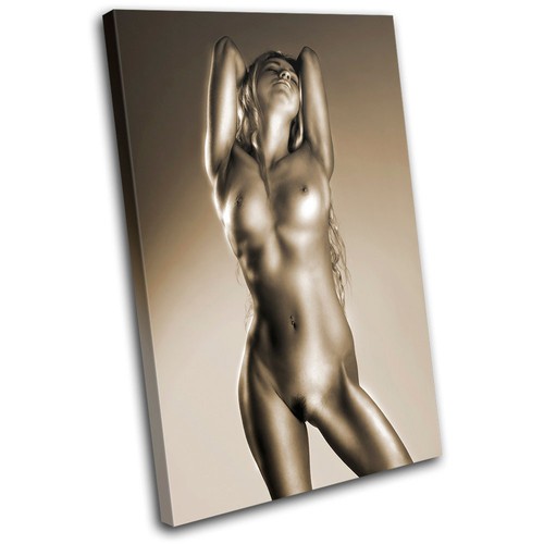 Sexy female nudes erotic - female,